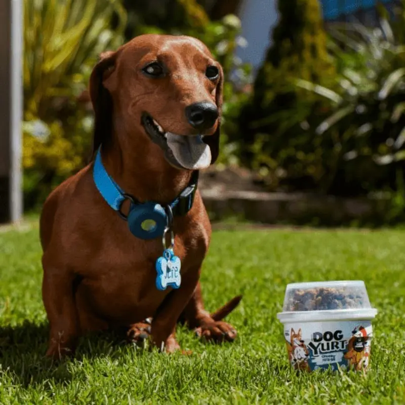 Dog Yurt Chunky Nutri-Bar 160 Gr